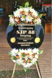 Grand Opening Kepulauan Anambas