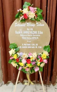 Ulang tahun Kepulauan Anambas